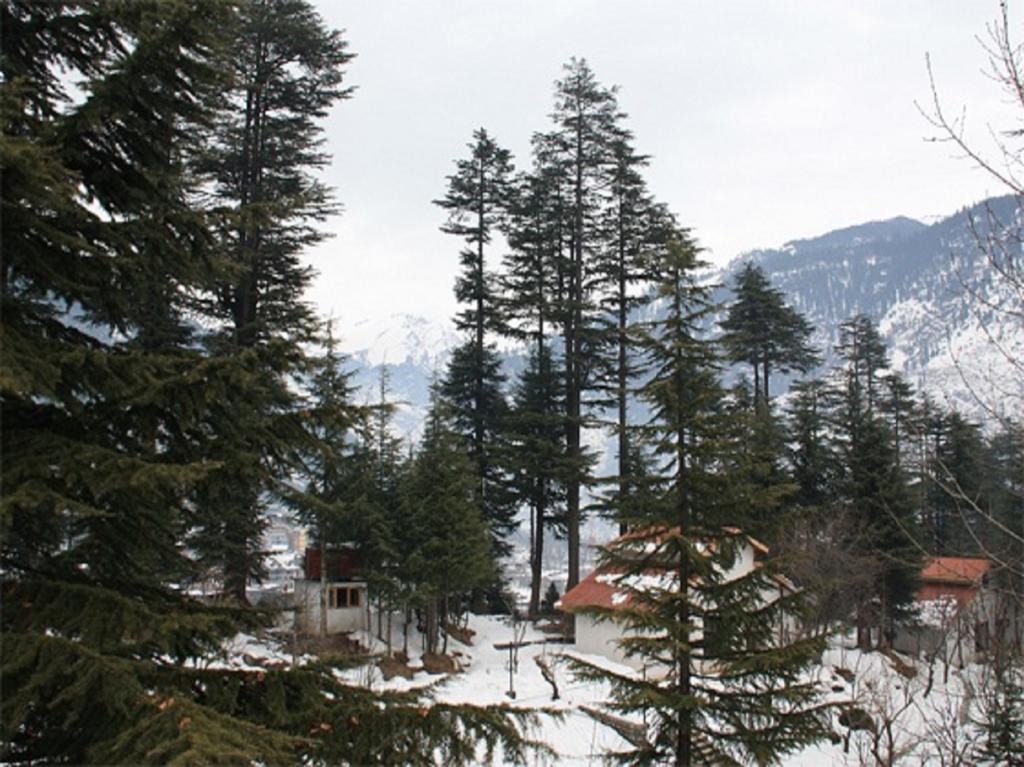 Hotel Greenfields Manāli Kültér fotó
